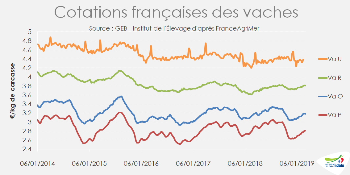 Cotations françaises de vaches : en hausse en mars 2019