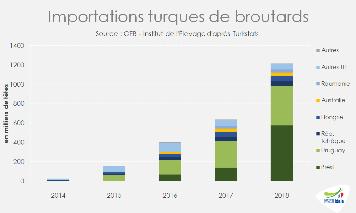 Importations de broutards en Turquie