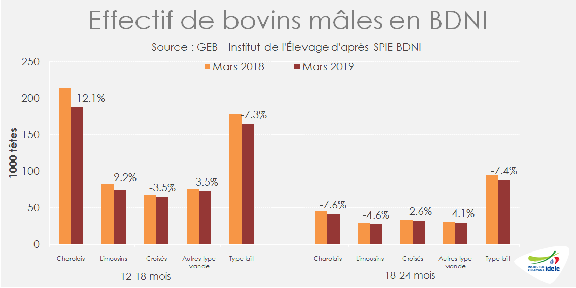 Effectifs de bovins mâles dans la BDNI - Mars 2019