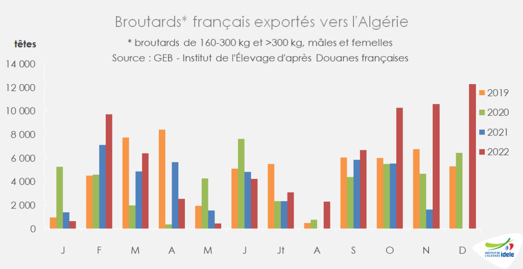 12-000-broutards-ont-ete-exportes-de-FR-vers-l-Algerie-en-dec-2022-soit-plus 90-pr-cent-par-rapp-a-2020-.png
