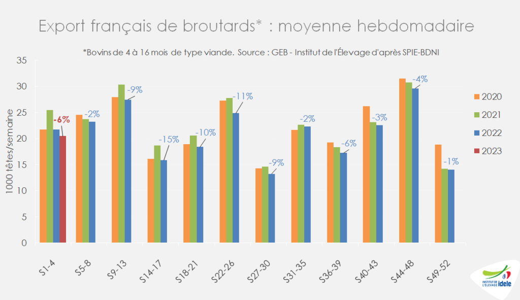 
Entre-les-semaines-1-et-4-de-2023-les-exports-totaux-de-broutards-francais-ont-recule-de-6-pr-cent-par-rapp-a-2022