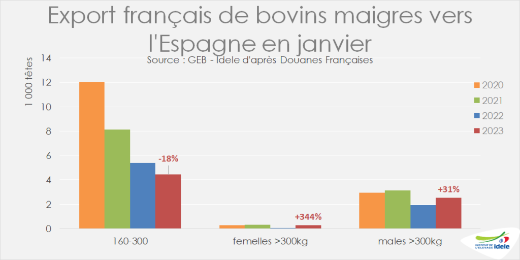 Export-francais-de-broutards-vers-ESP-en-janvier-c-est-moins-de-160-300-kg-et-plus-de-males-de-de-300kg