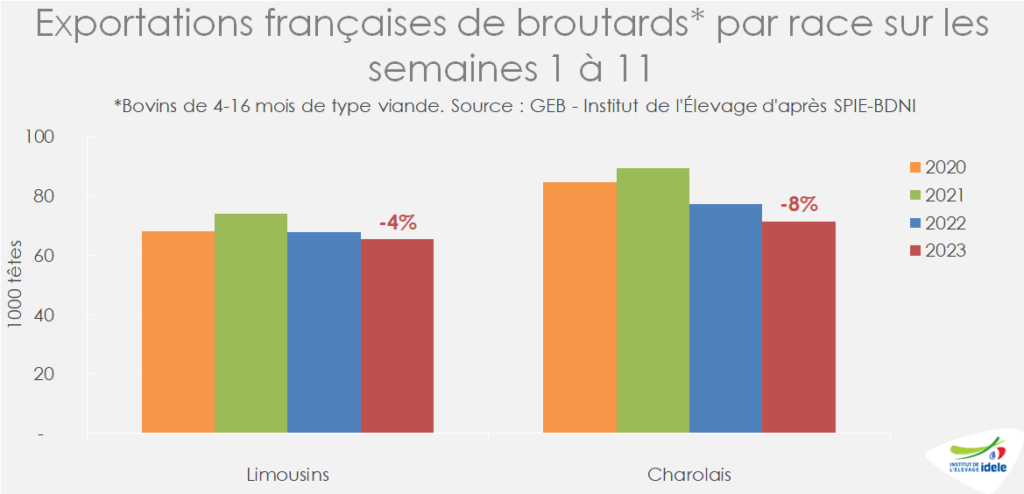 exports-de-broutards-charolais-reculent-de-8-pr-cent-sur-s1-s11-contre-seulement-4-pr-cent-pr-les-broutards-lim