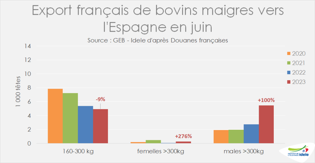 Les-exports-francais-de-broutards-vers-l-Espagne-ont-bondi-en-juin-de-30-pr-cent-compare-a-2022-et-32-pr-cent-depuis-debut-d-annee