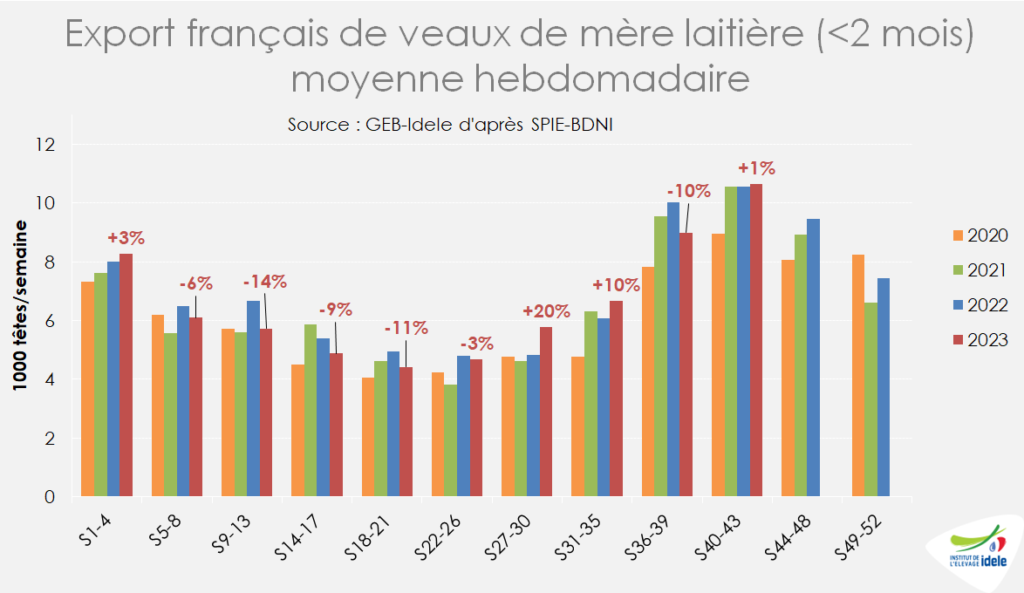 les-exports-de-veaux-laitiers-francais-etaient-stables-en-oct-2023-compares-a-oct-2022-a-43-000-tetes